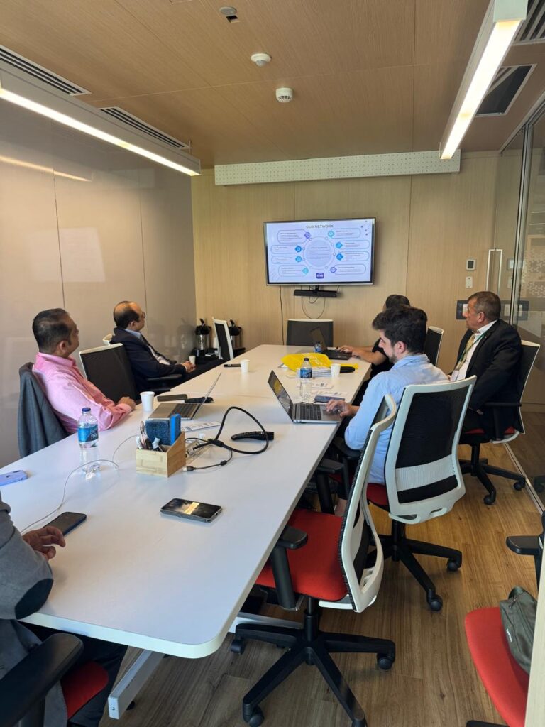 explicación panamerind