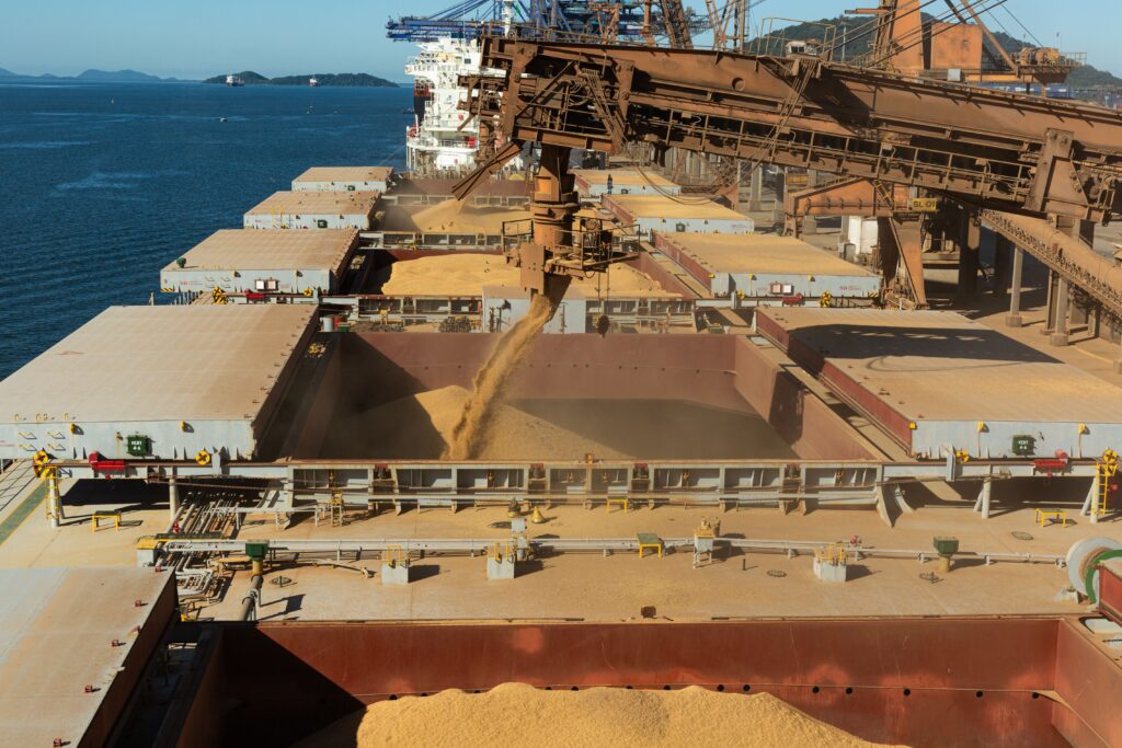 Bulk carrier being loaded with dry bulk cargo